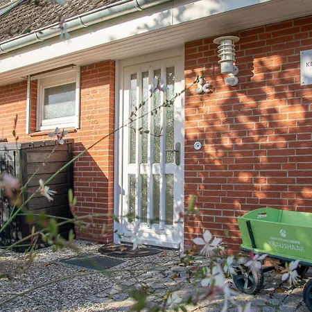 Austernfischer Holiday home Dahme (Schleswig-Holstein)