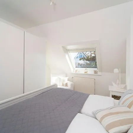 Austernfischer * Dahme (Schleswig-Holstein)