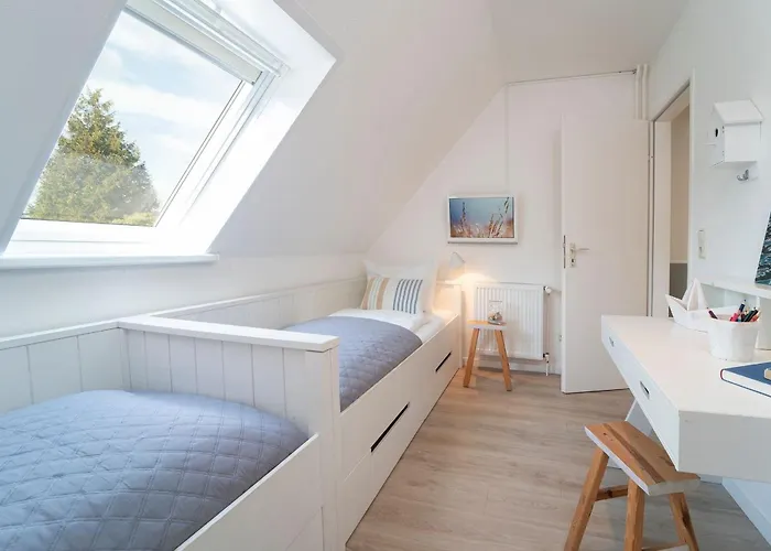 Austernfischer Dahme (Schleswig-Holstein)