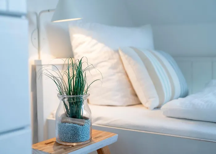 Austernfischer Feriehus