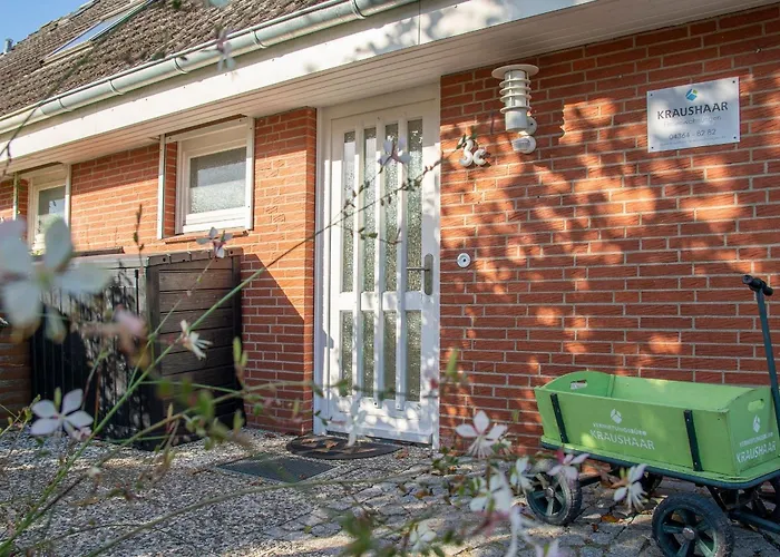 Austernfischer Feriehus Dahme (Schleswig-Holstein)