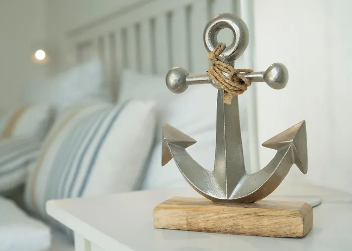 Austernfischer Dahme (Schleswig-Holstein)