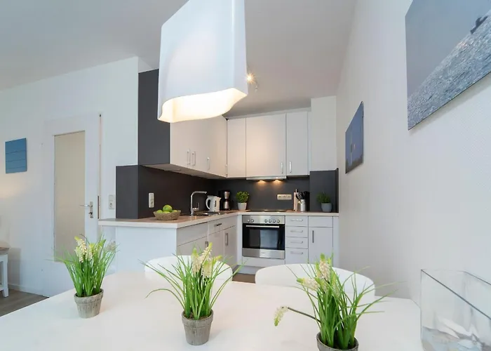 Austernfischer Feriehus