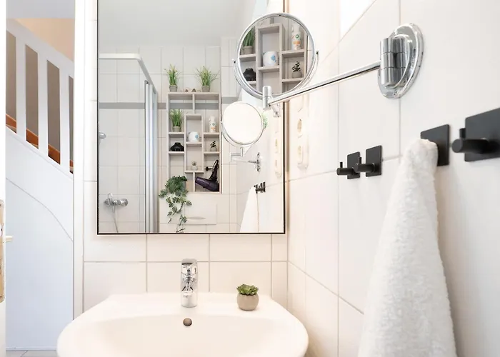 Austernfischer * Dahme (Schleswig-Holstein)